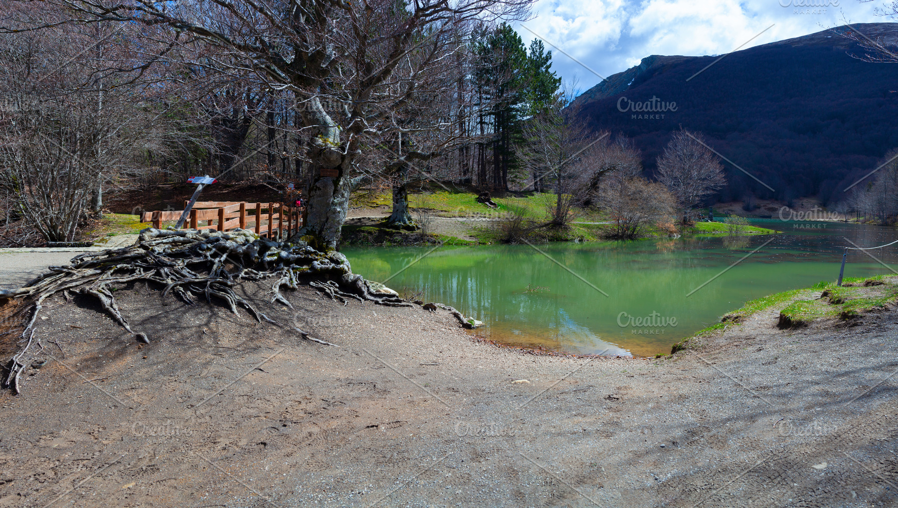 Panorama of the Calamone lake in Reggio Emilia, Italy, a Nature Photo by Bepslabor