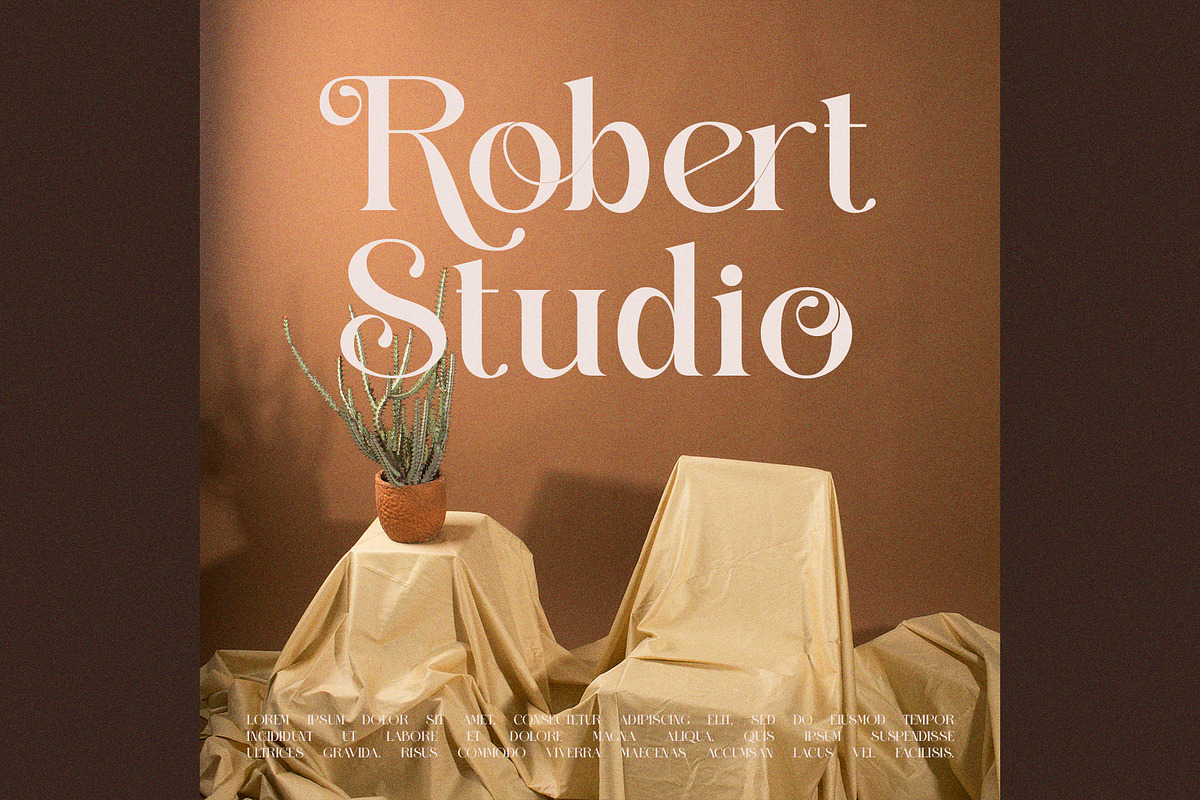 Thaling Modern Serif Font, a Serif Font by Perfectype (Photo 4 of 8)
