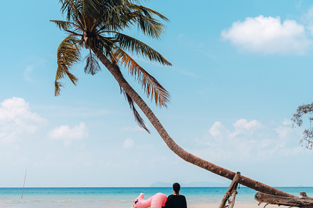 Tropical beach,Coconut trees and blue sea on a summer day, a Nature Photo by Art Rachen