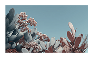 Arid Co · Desert Plantscape, a Texture Illustration by milatovar (Thumbnail 14 of 20)
