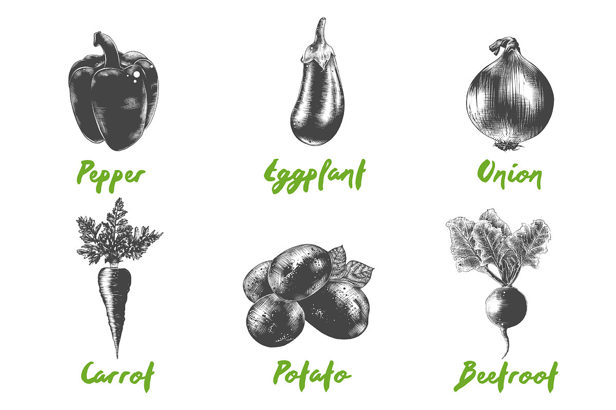 Set of 42 healthy food objects, a Decorative Illustration by Akimo Mia (Photo 3 of 9)