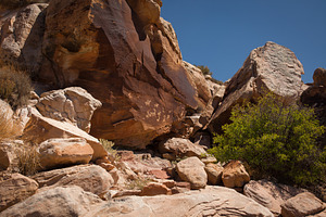 Arches national park utah usa stock photo containing petroglyph and arches