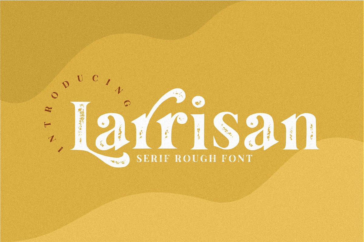 Larrisan Display