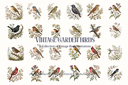 Vintage Garden Birds Illustrations, a Decorative Illustration by youtoview (Thumbnail 7 of 17)