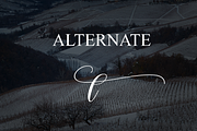 Winterfarm | Script Font, a Handwritten Font by Scratchones (Thumbnail 8 of 9)