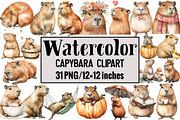 Capybara Clipart, an Illustration by Design Market (Thumbnail 1 of 3)