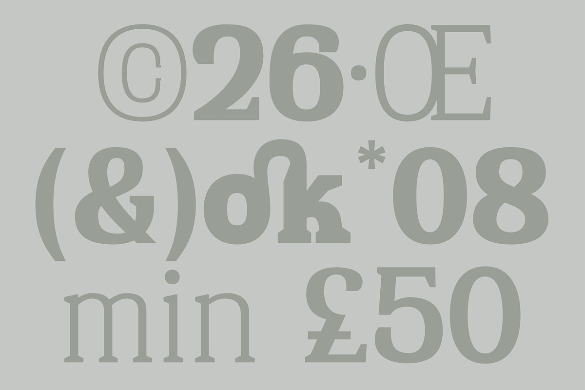 Sichra Typeface - Relaxed Slab Serif, a Slab Serif Font by Khoir (Photo 4 of 13)