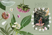 Petals Botanical Overlay Kit & Paper, an Object Graphic by Allure Art (Thumbnail 20 of 22)