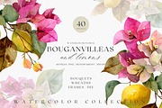 Watercolor Bouganvilleas and Lemons, a Decorative Illustration by ThaismotaCreativeCo (Thumbnail 1 of 11)