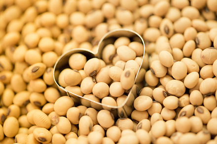Soy Bean on heart shape, a Food & Drink Photo by PeoGeo Studio
