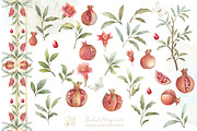 Watercolor Pomegranate collection, a Decorative Illustration by WonderWonder (Thumbnail 6 of 12)