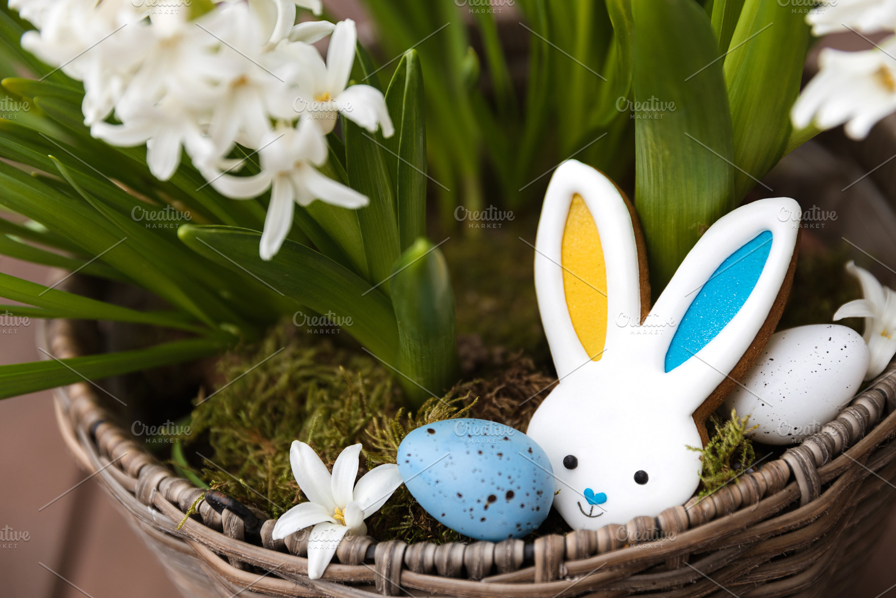 Easter bunny gingerbread cookie with ears yellow blue colored as Ukraine flag, a Holiday Photo by Lenor4ik