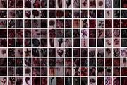 Dark Floral & Mineral Stock Photos, a Nature Photo by Tale.Haus (Thumbnail 14 of 17)