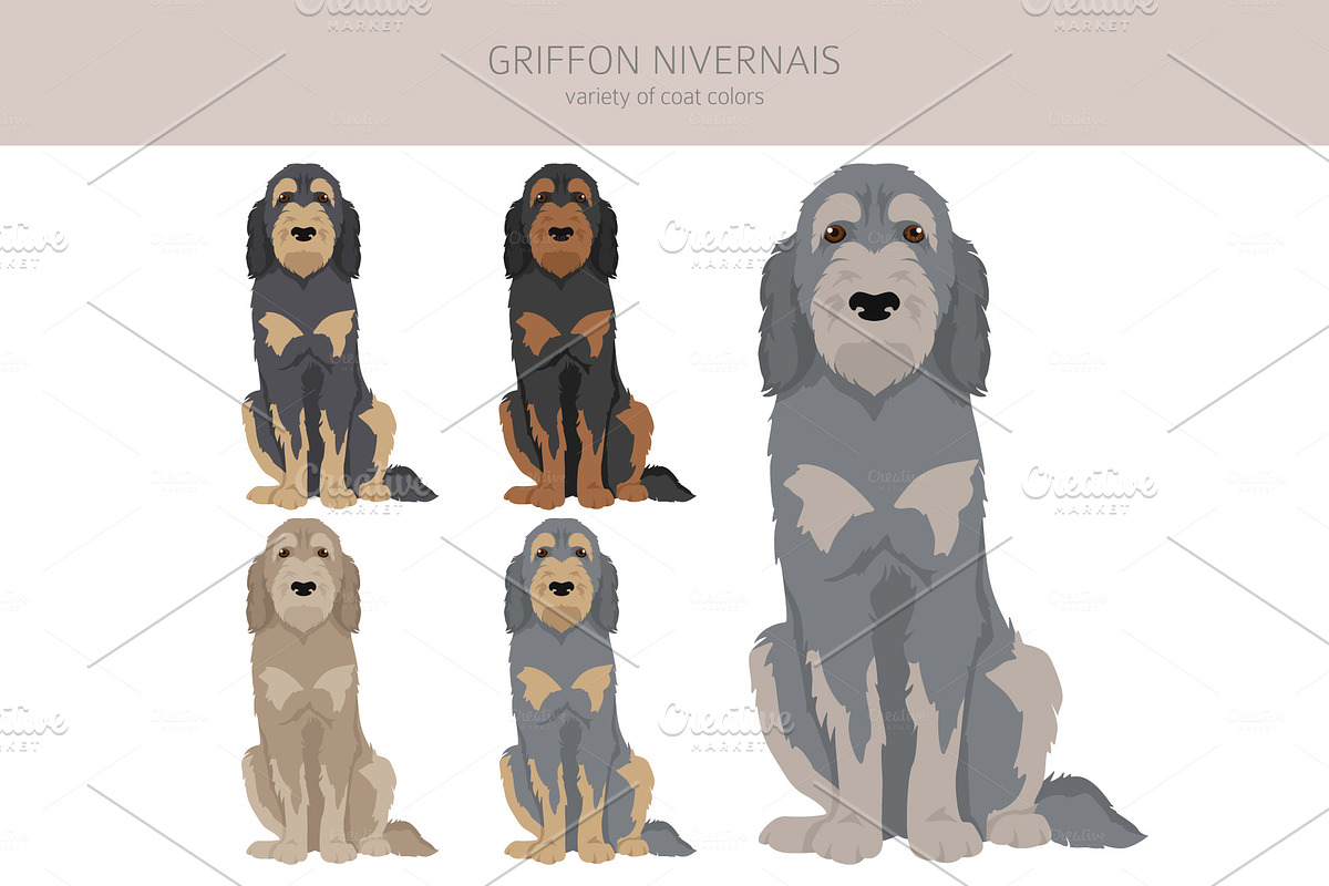 Griffon Nivernais dog clip art, a Background Graphic by pet design shop (Photo 4 of 6)