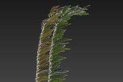 Kelp V2, an Environmental 3D Model by AndrewWhite (Thumbnail 6 of 12)