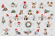 Winter Animals Clipart, an Illustration by BigCakeBee (Thumbnail 3 of 4)