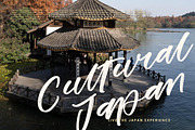 Prime Joyful Brush Calligraphy Font, a Script Font by stylishtype.co (Thumbnail 8 of 20)