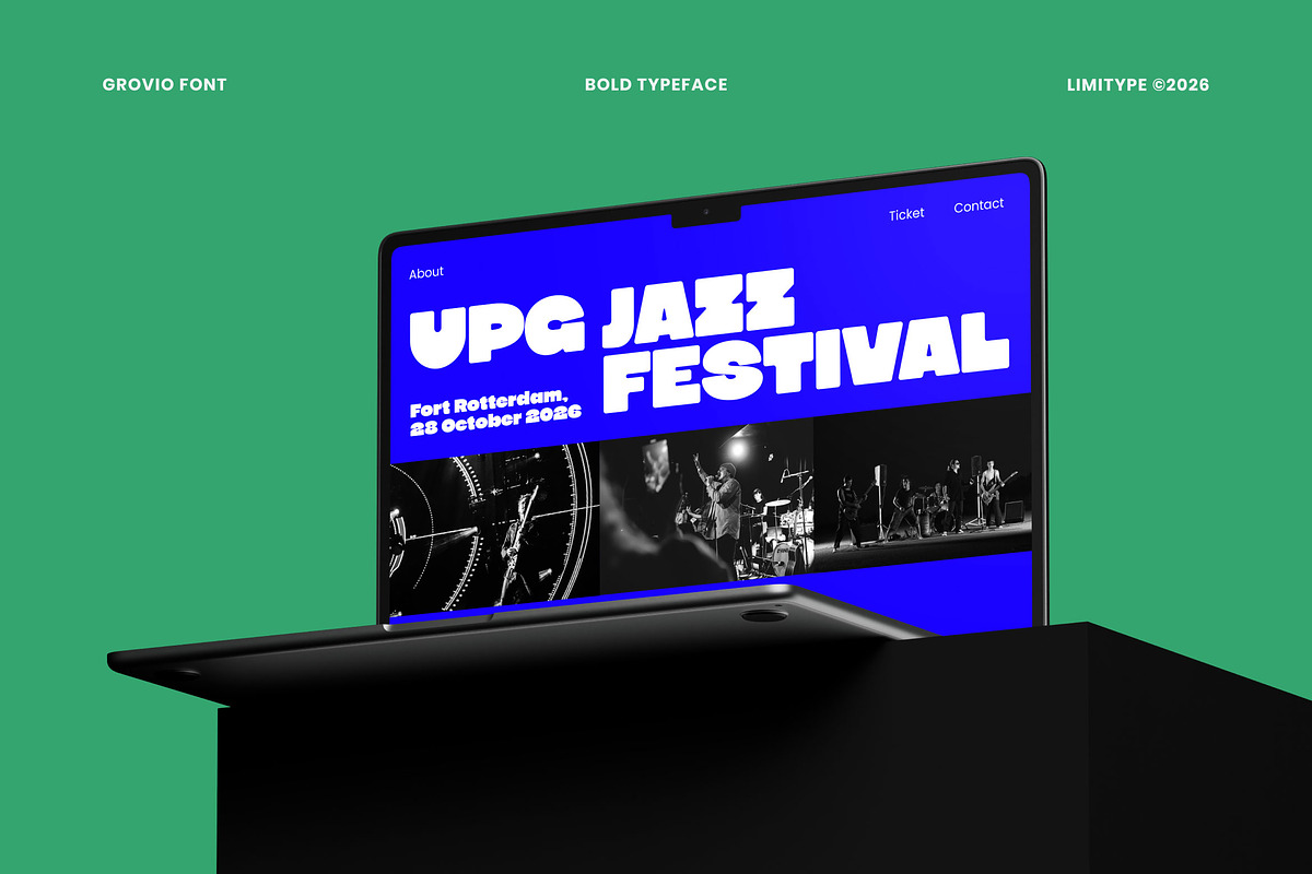Grovio - Bold Dsiplay Font, a Sans Serif Font by limitype (Photo 9 of 12)