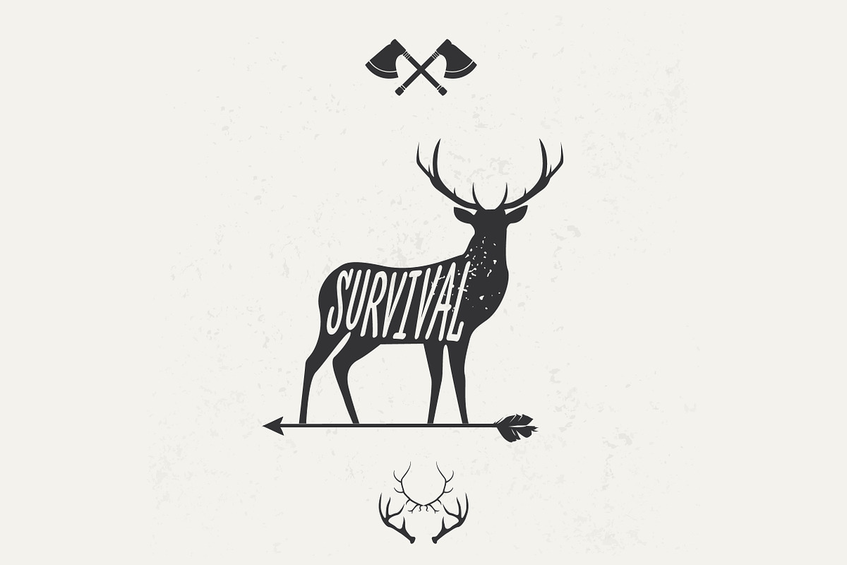 Hand Drawn Wild Animal Pack, an Animal Illustration by Noka Studio (Photo 5 of 5)