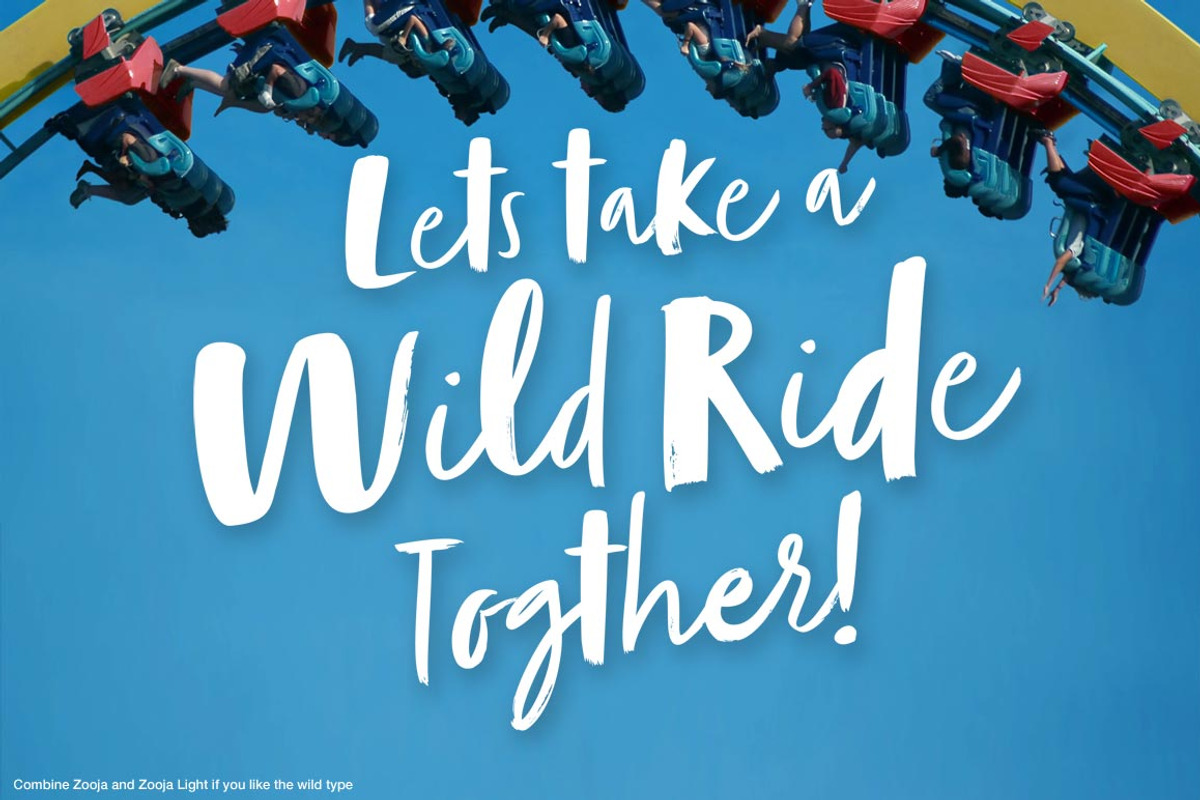 Zooja Script, a Script Font by Aerotype (Photo 6 of 17)