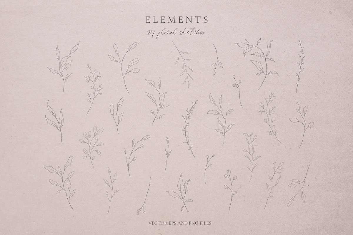 Botanical leaves - sketched florals, a Decorative Illustration by Madiwaso (Photo 3 of 14)