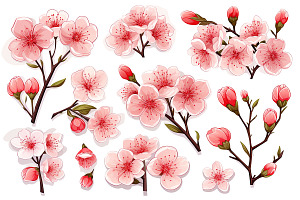 Cherry Blossom PNG Clipart