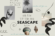 SEASCAPE Line, Seashells & Textures, an Object Graphic by Lana Elanor (Thumbnail 7 of 11)