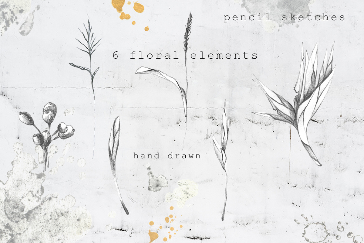 CHARCOAL & GOLD GRAPHIC COLLECTION, a Texture Illustration by Luna Dreams (Photo 7 of 11)