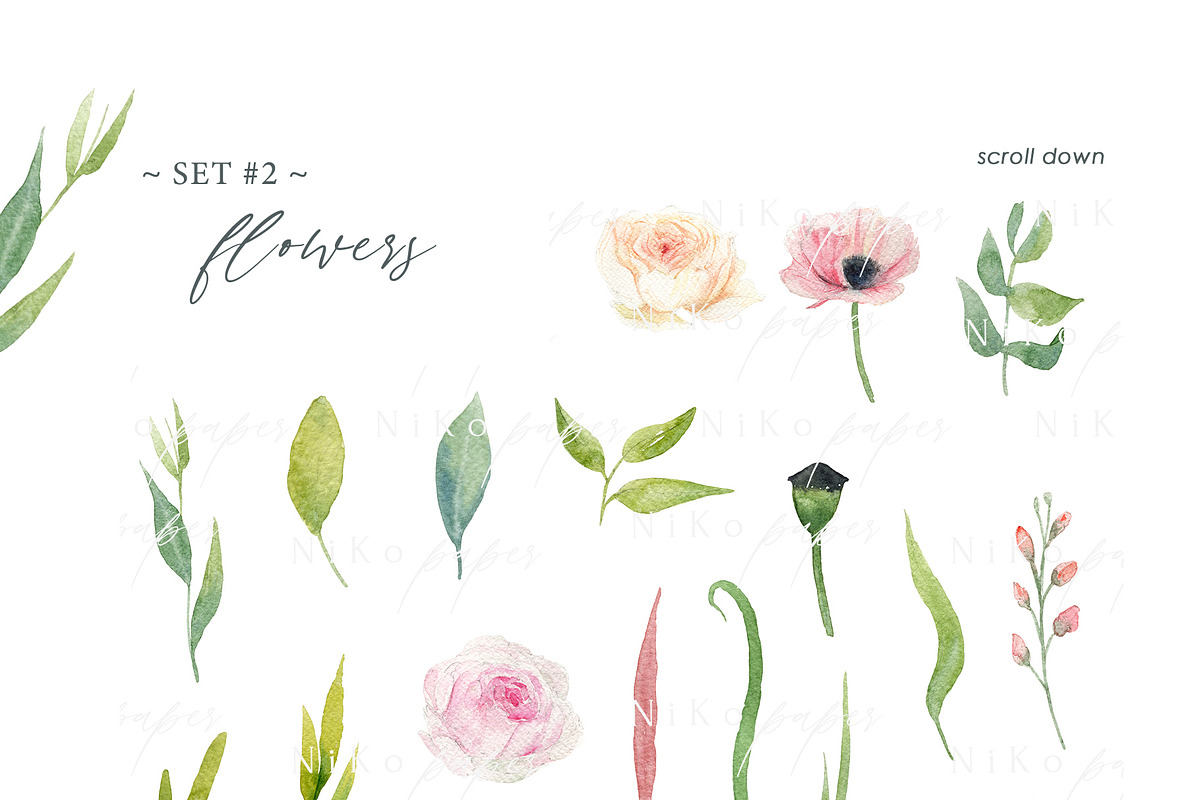 Watercolor Floral Clipart Set, an Object Graphic by NiKO (Photo 2 of 4)