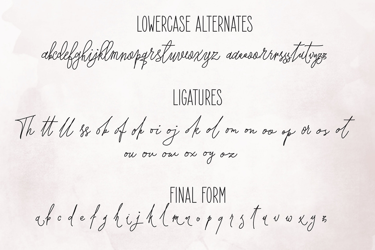 Forsythia Garden |Signature Typeface preview 7