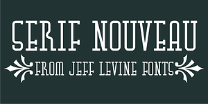 Serif Nouveau JNL, a Slab Serif Font by Jeff Levine Fonts