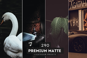 290 Matte Lightroom Presets Bundle