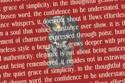 Senovac Bold Tall Serif Display, a Serif Font by timelesstype.co (Thumbnail 14 of 20)