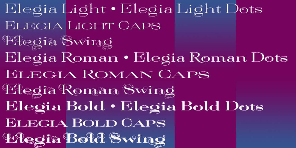 Elegia, a Serif Font by Wiescher-Design (Photo 5 of 5)