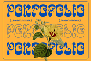 Anglepoise Typeface, a Font by HeyFonts (Thumbnail 11 of 12)