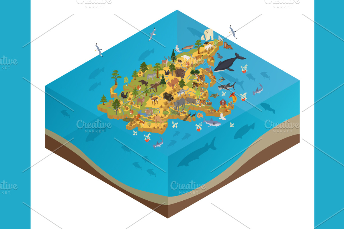 Asia isometric flora & fauna map, an Animal Illustration by pet design shop (Photo 4 of 5)