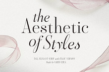Aesthetic Styles - Tall Serif