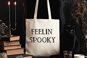 Hauntings Serif Font, a Serif Font by Beck McCormick (Thumbnail 8 of 10)
