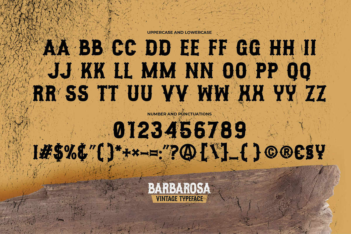BARBAROSA - Vintage Typeface, a Serif Font by Gassstype (Photo 6 of 8)