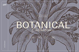 Botanical Collection