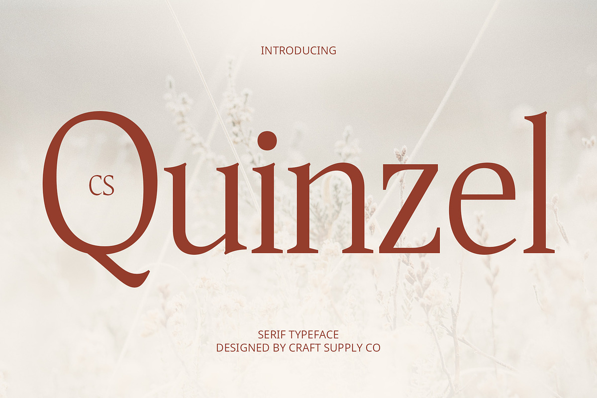 CS Quinzel – Contemporary Font, a Serif Font by Craft Supply Co. (Photo 1 of 8)