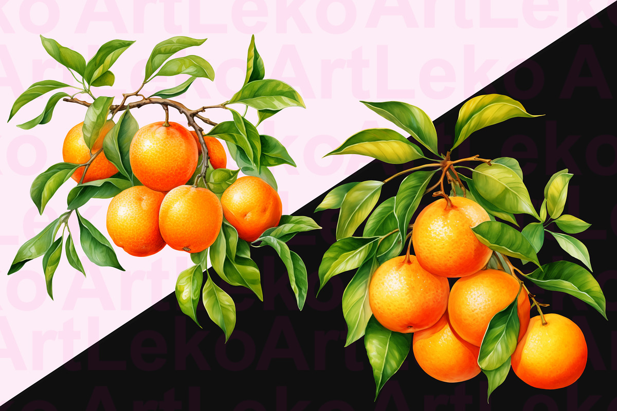 Oranges Watercolor Clipart, a Food Illustration by LekoArt (Photo 4 of 10)