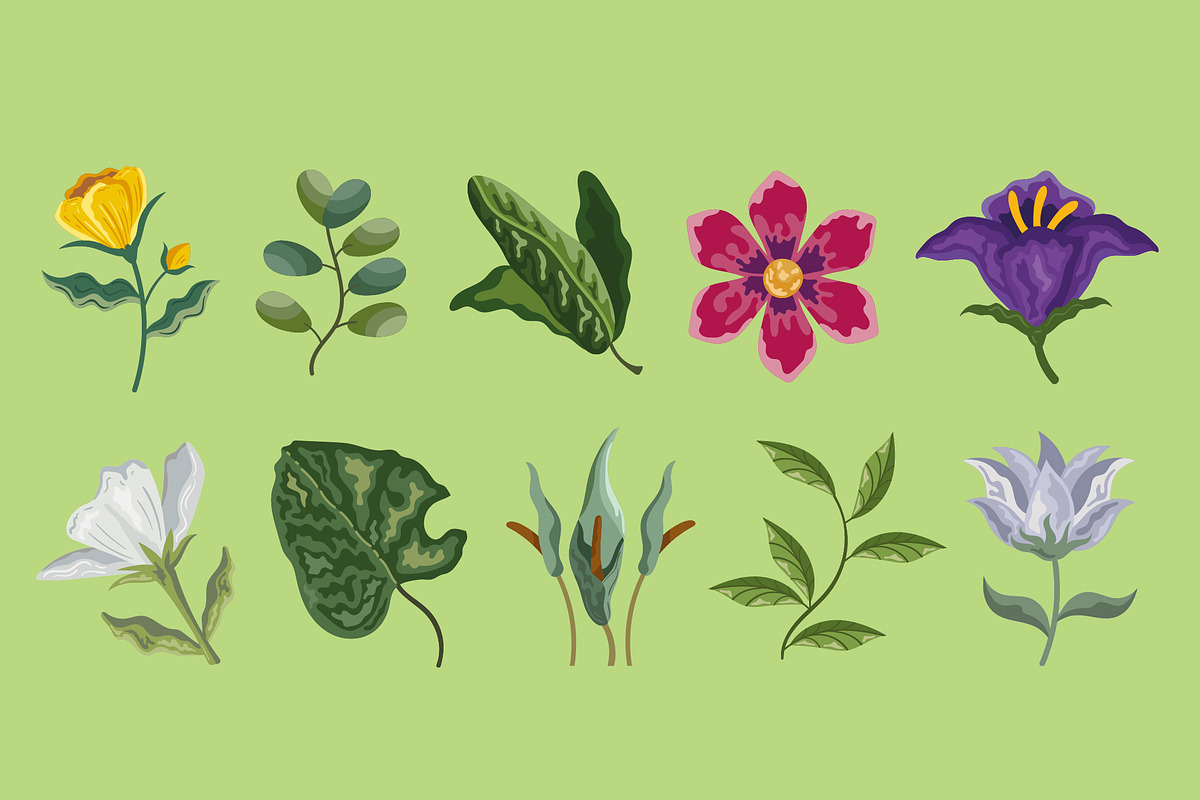 Botanical Flower & Leaf Set
