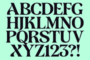 Postre -Stylish Serif, a Serif Font by Fenotype (Thumbnail 5 of 16)