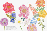 watercolor floral clipart bundle, a Decorative Illustration by Patishop Art (Thumbnail 2 of 9)