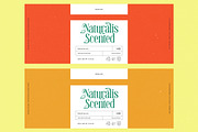 Heritage Milano Vintage Serif, a Serif Font by timelesstype.co (Thumbnail 12 of 15)