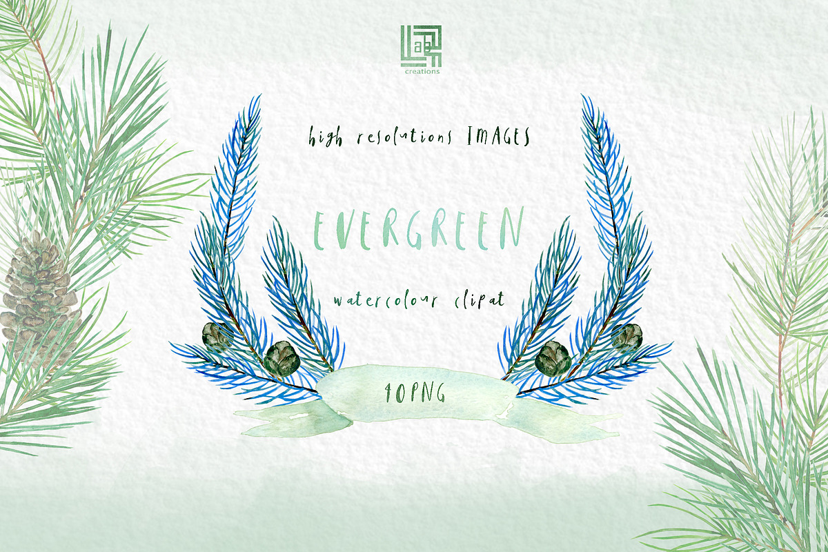 Pine. Watercolor clipart, an Illustration by LABFcreations (Photo 3 of 9)