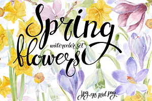 Spring flowers. Watercolor set.