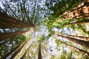 Pointing up to the heavens