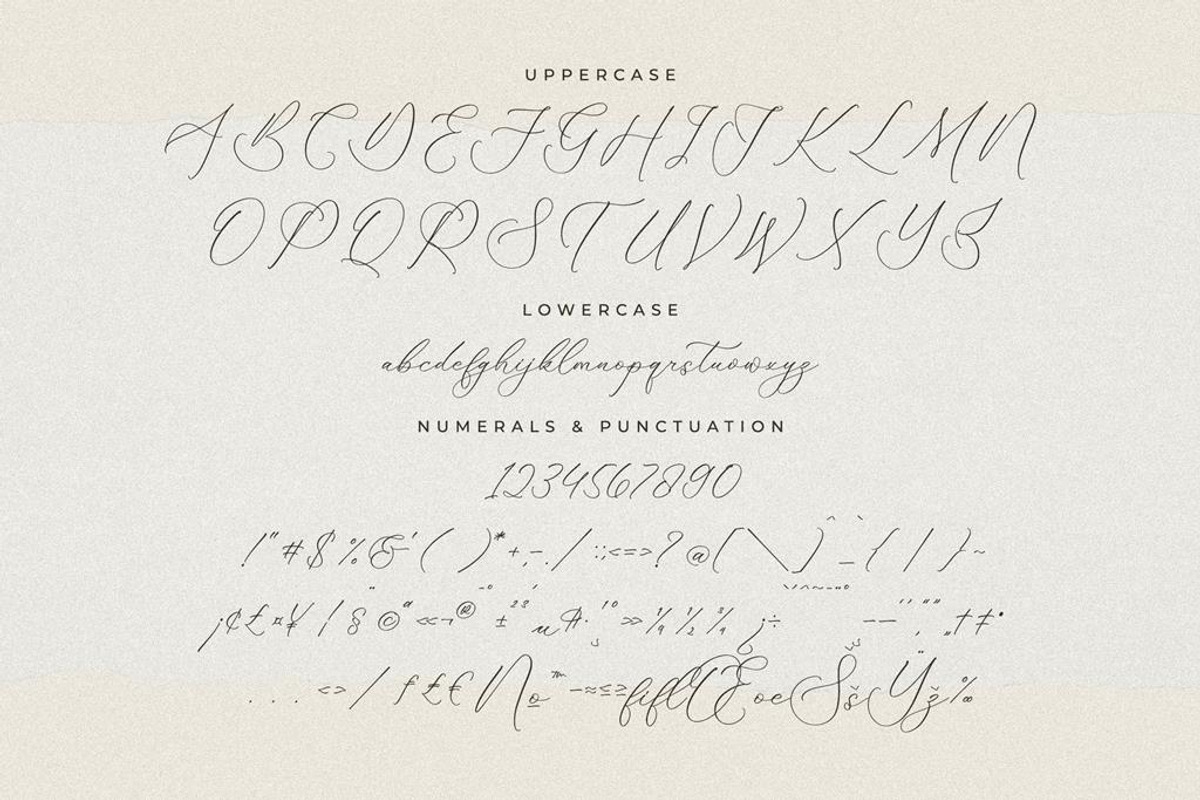 Fattrios Schudnel Chic Calligraphy, a Script Font by Storytype Studio (Photo 11 of 13)